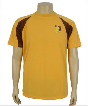 2 colors polyester panel t-shirt